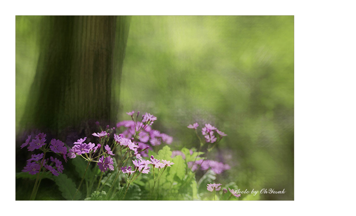 060A9261-2 복사 사본.jpg