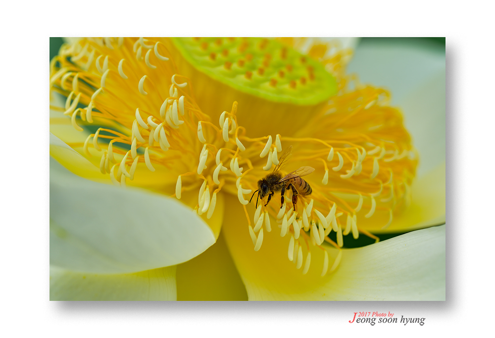 dsc_1630r.jpg