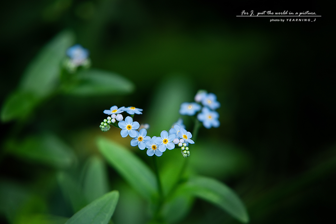 24K_0318-1.jpg