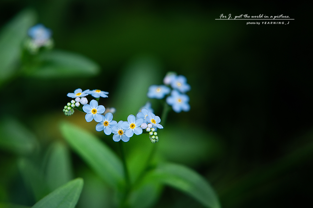 24K_0318-1-1.jpg