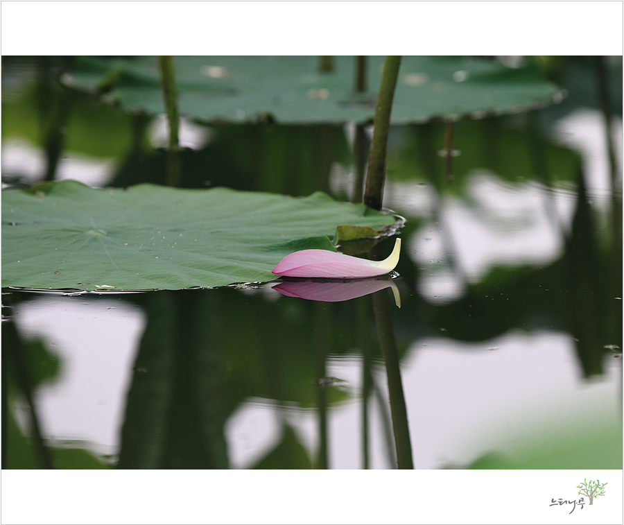 IMG_8098.jpg