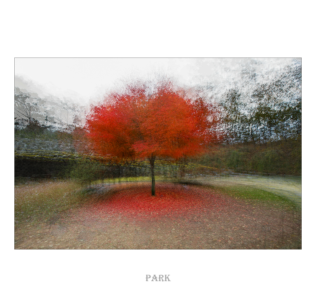 _03A0718-2 사본-리사이즈.jpg