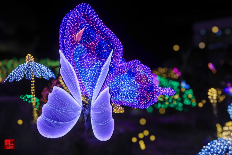 4D1A9907(1) (1)(1).jpg