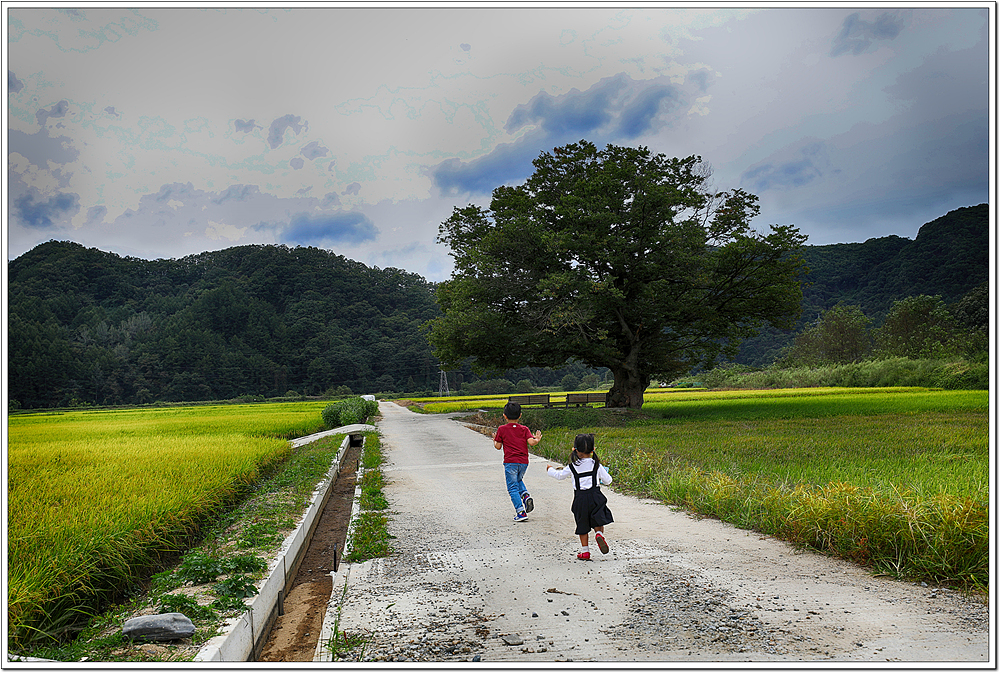 iu5a5241-h.jpg