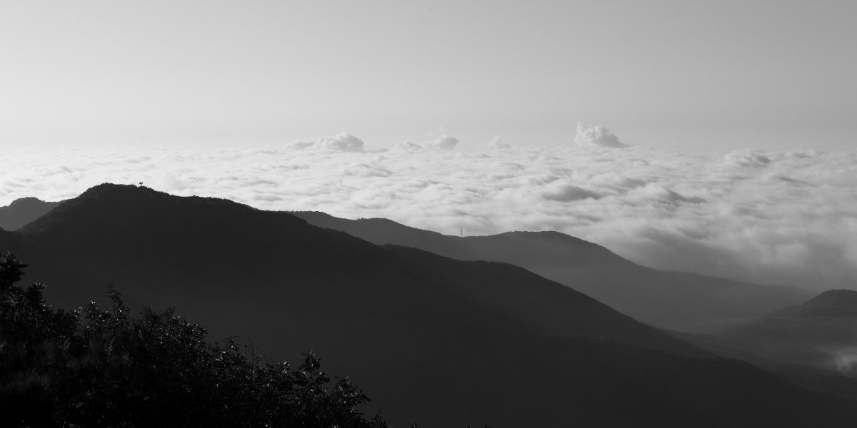 _mg_5573.jpg