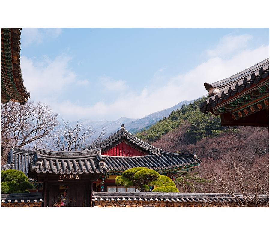 화엄사-900.jpg