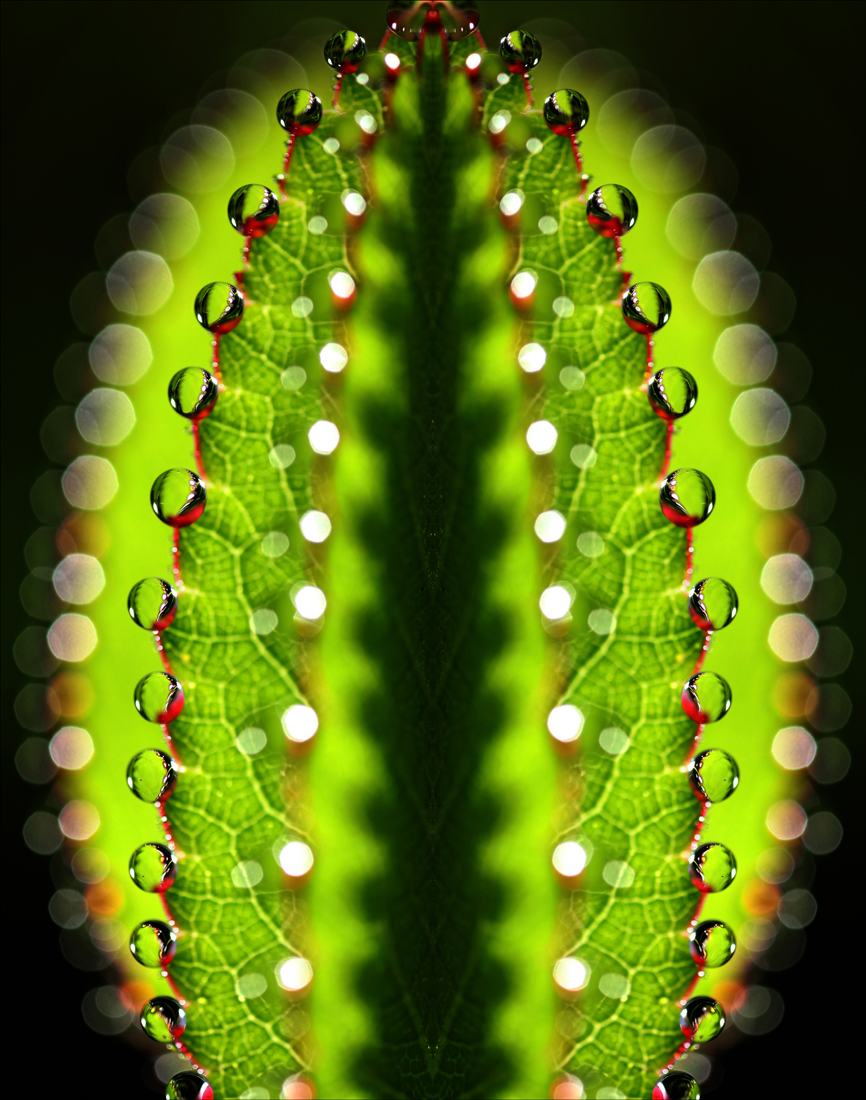 데칼-4.jpg