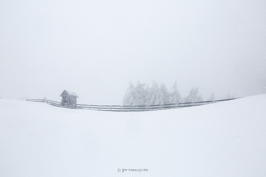 beantree240120_9550(fj)snow.jpg