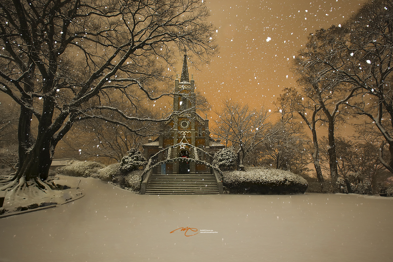 OQ7A0437-2 - 복사본.jpg