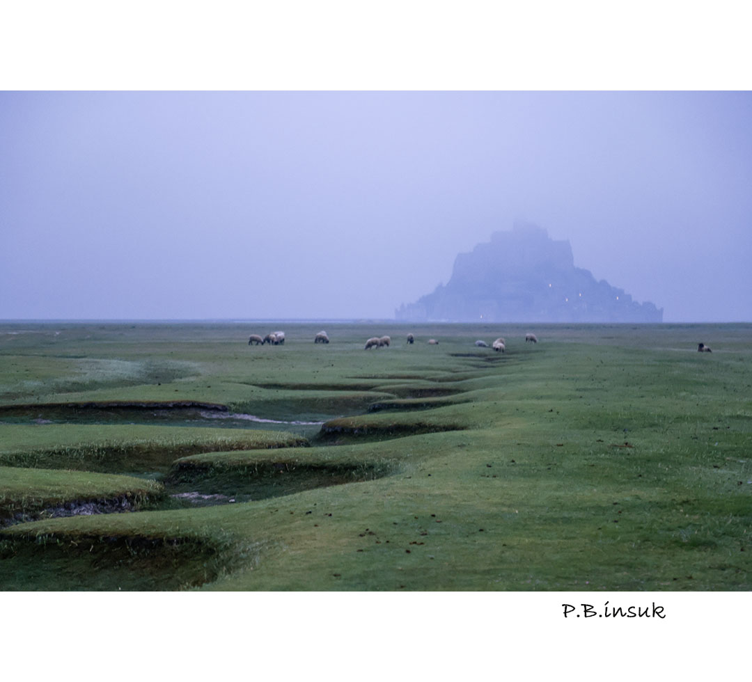 071A0885-2.jpg