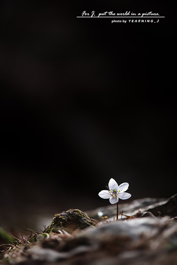 24K_1620-1.jpg