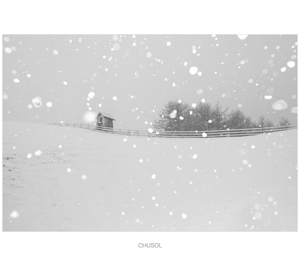 _D3A8803.jpg