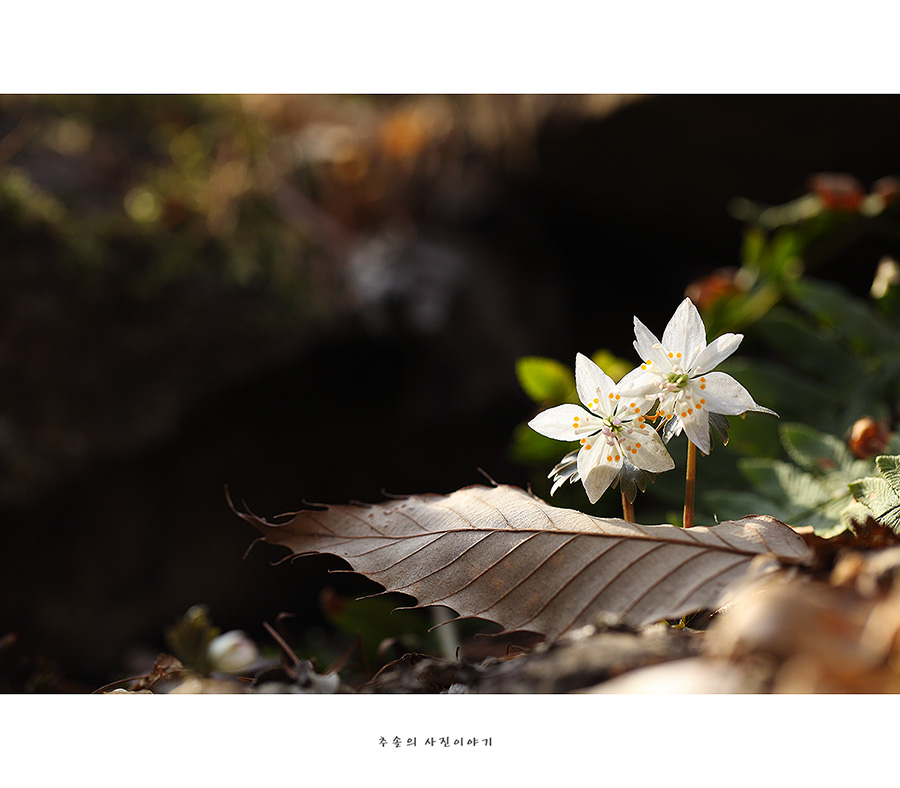 _mg_4686.jpg