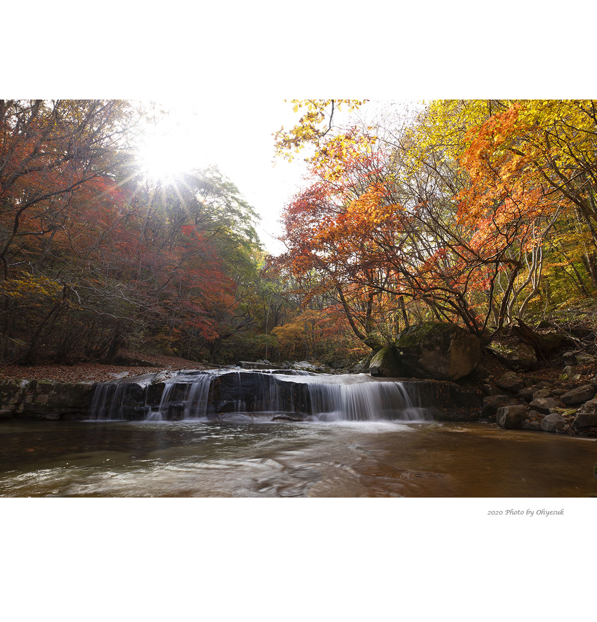IU5A0070-1-33.jpg