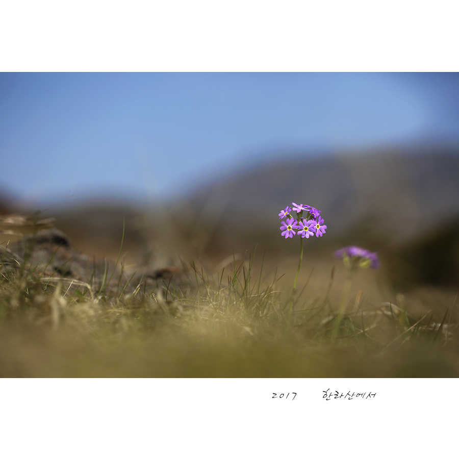 0x9a9320-900.jpg
