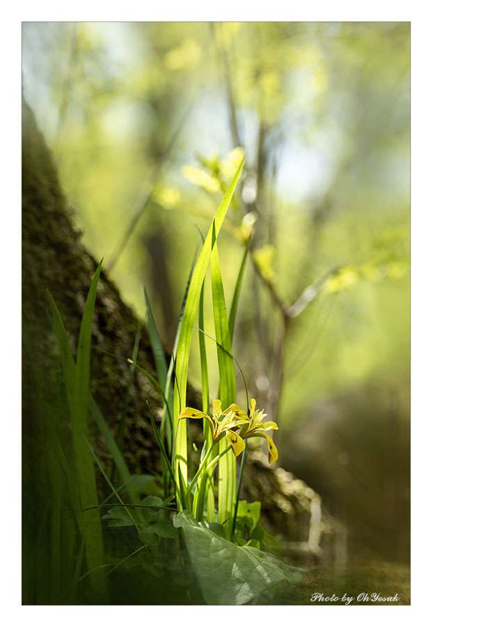 060A9318-2-900 복사 사본.jpg