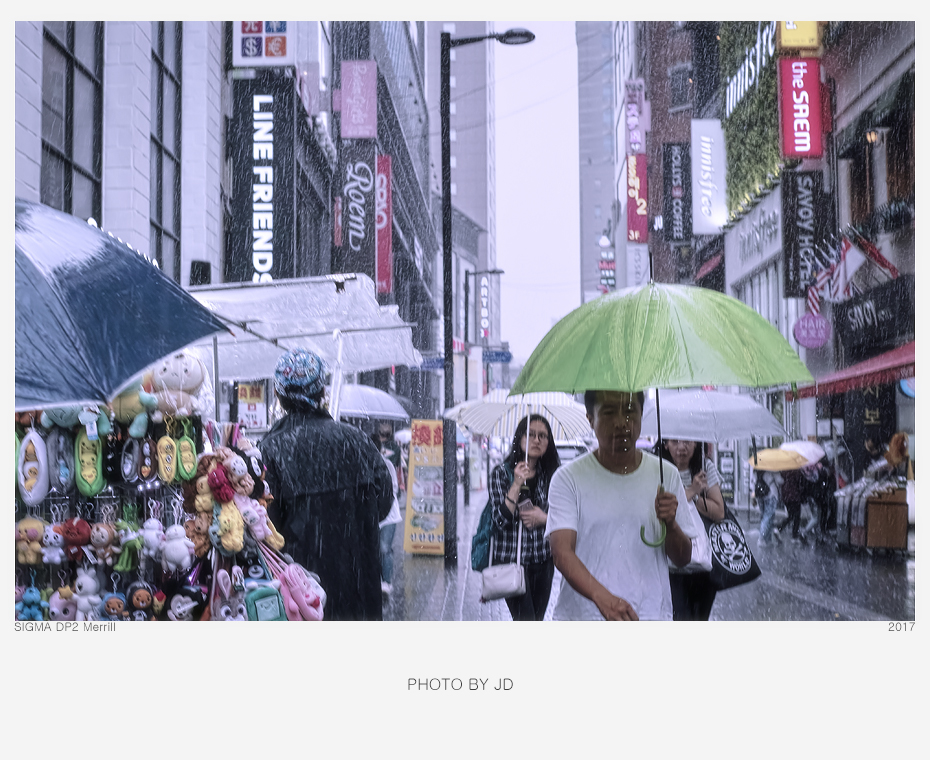 dp2m3974.jpg
