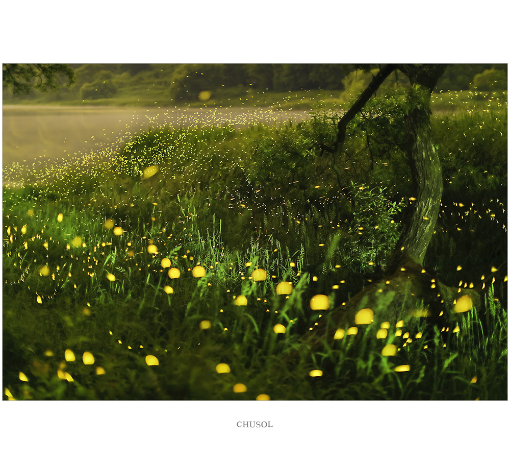반딧불02.jpg