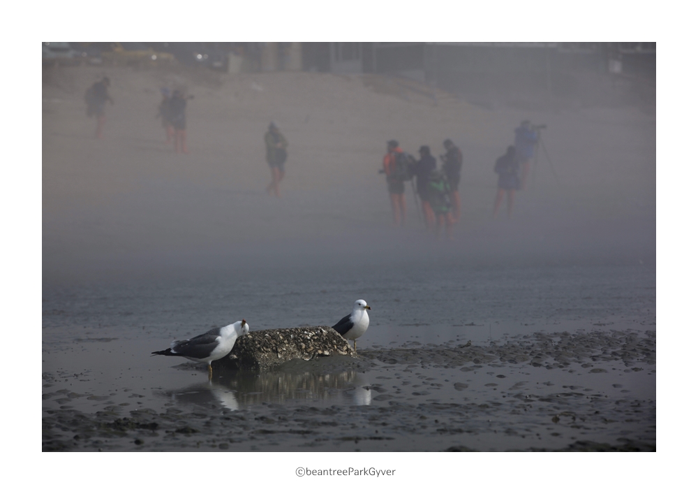 parkgyver_20150329_8042_feel_.jpg