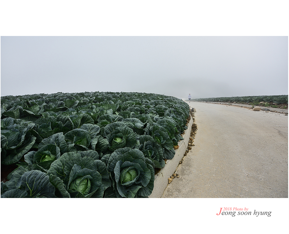 dsc_6369r.jpg