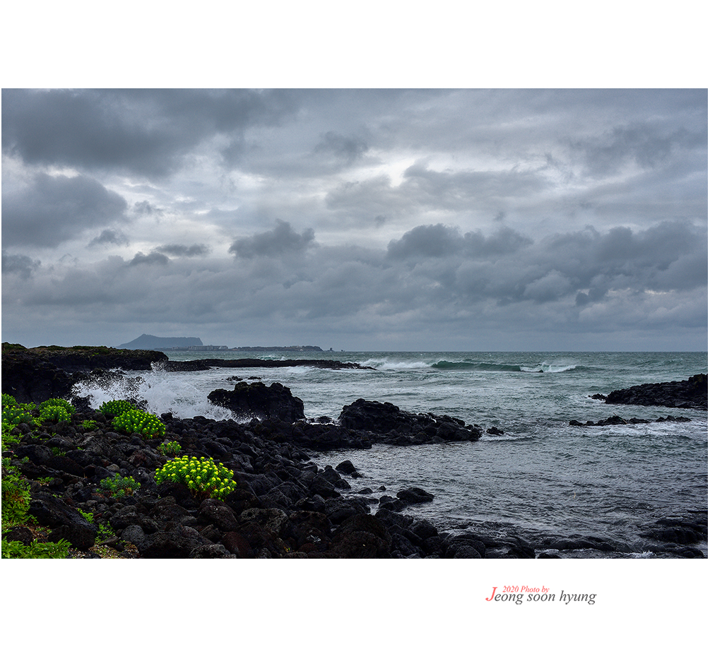 DSC_8705r.jpg
