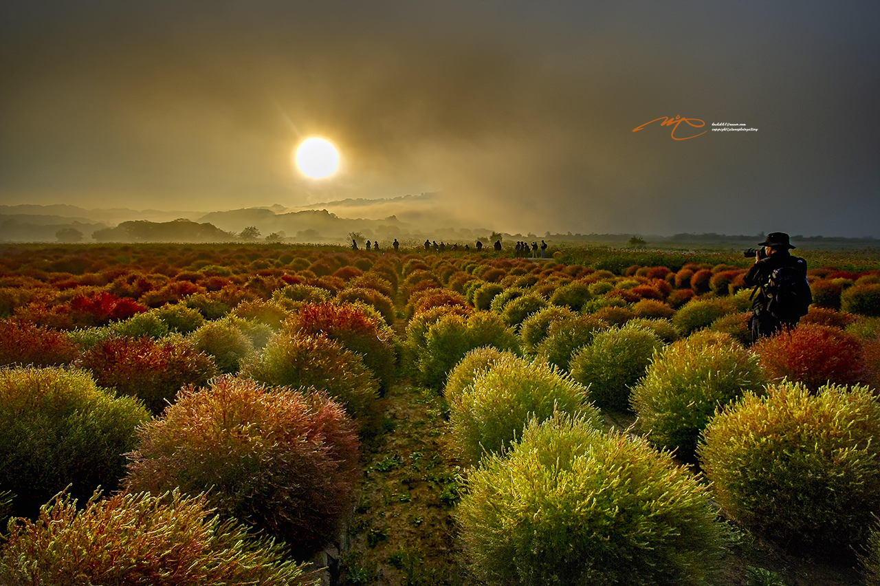 _SMJ7499-3.jpg
