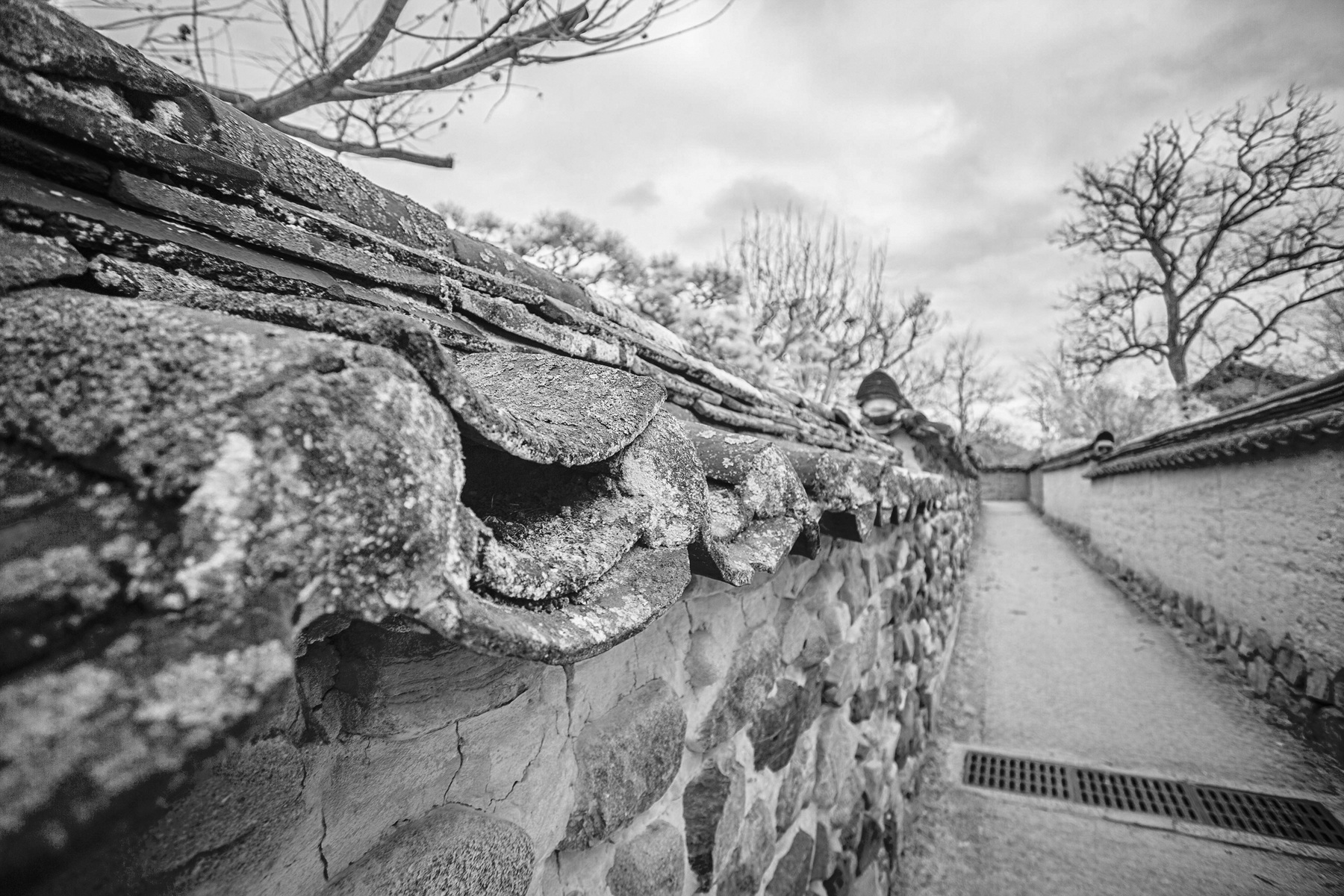 IMG_8966-HDR deep IR Chrome bw.jpg