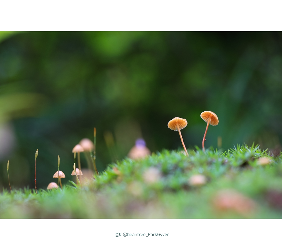 20170819_pkc_6218_fj_.jpg