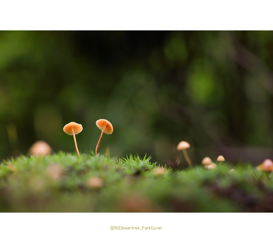20170819_pkc_6225_fj_.jpg
