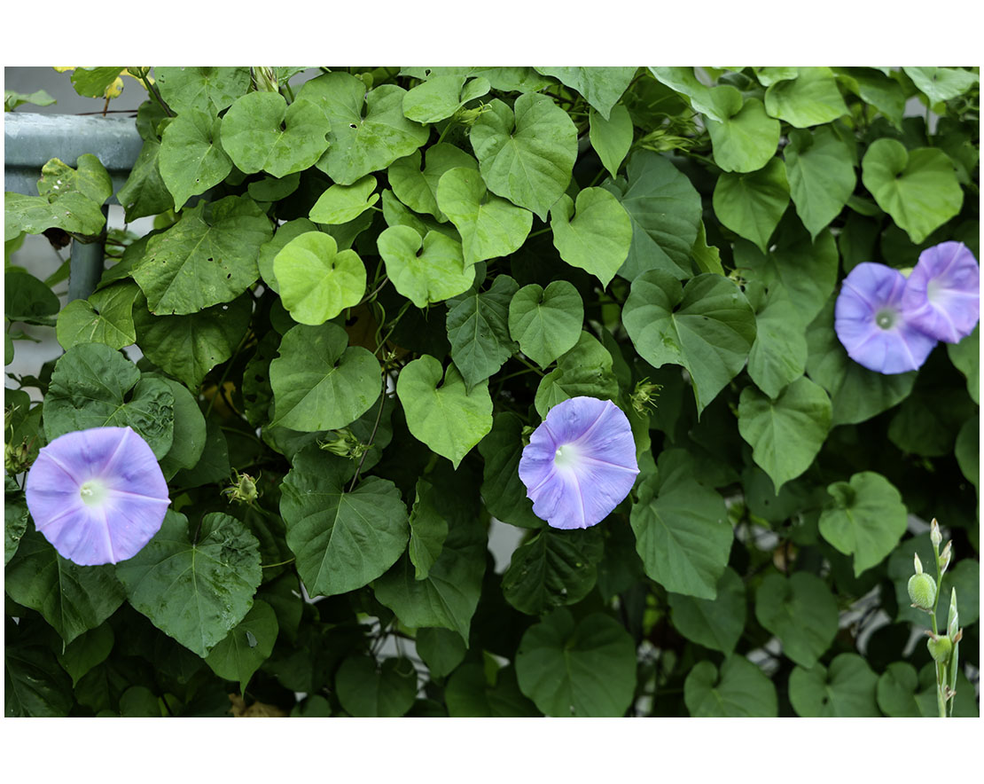 071A9044 복사-2.jpg