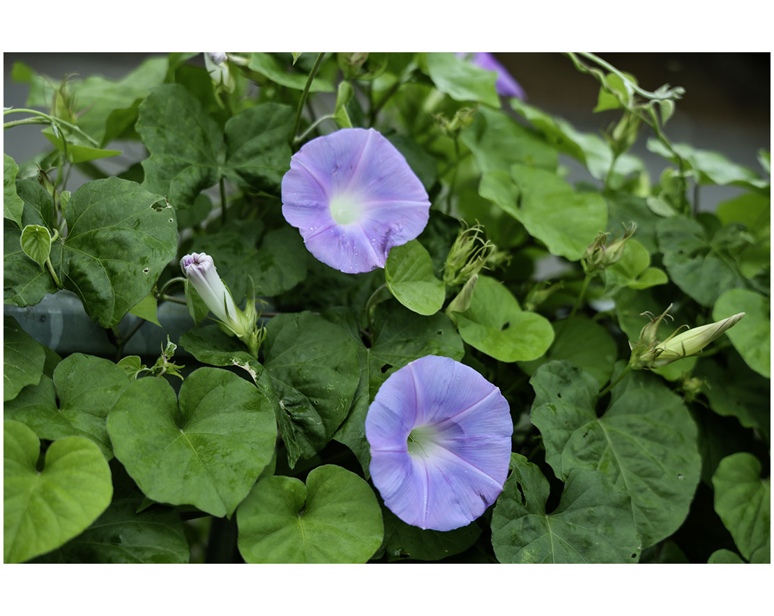 071A9048 복사-2.jpg