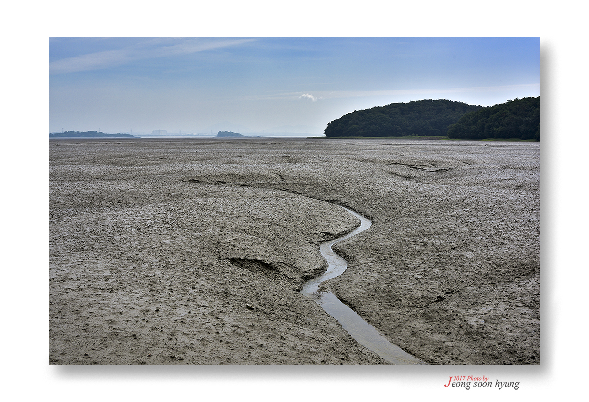 _dsc2721r.jpg