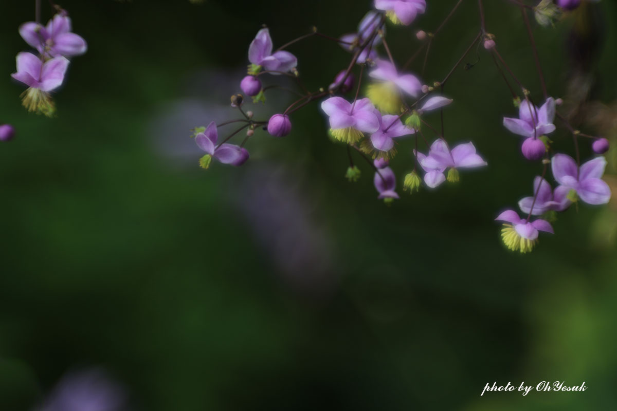 060A4286 복사 사본-1.jpg