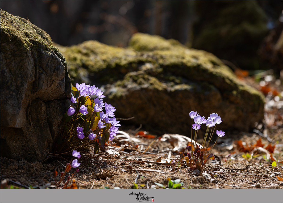 그액_01_1200-860 그레이 액자_01.jpg