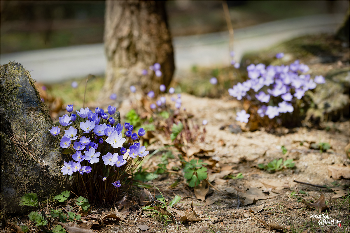 12_J_0O4A0232 복사.jpg