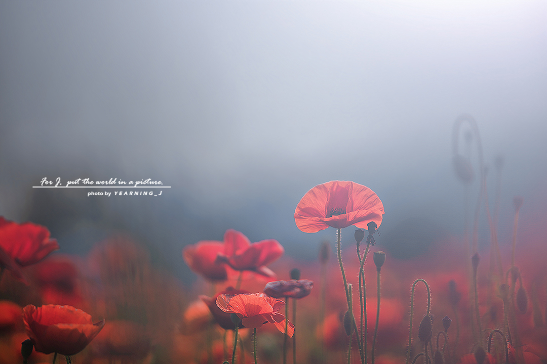 24K_9080.2-1.jpg