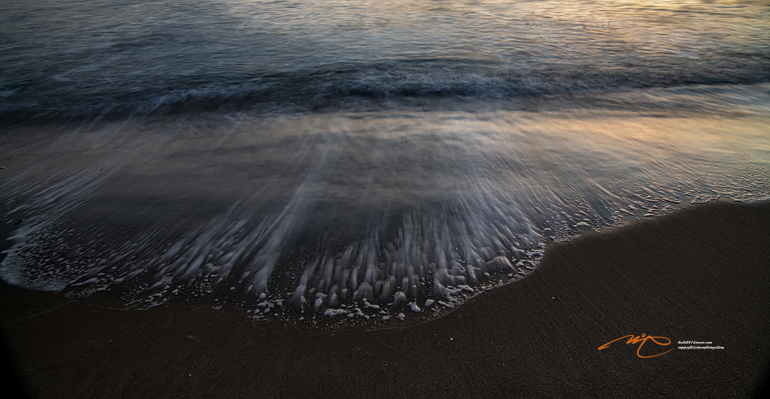 _DSC2980-3.jpg