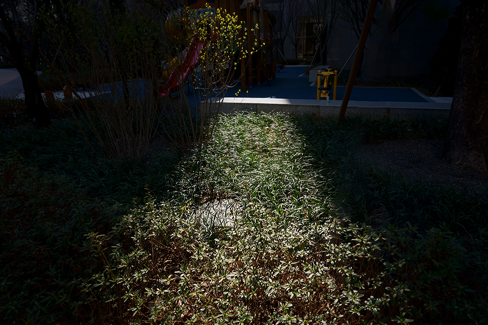 DSC09102.jpg