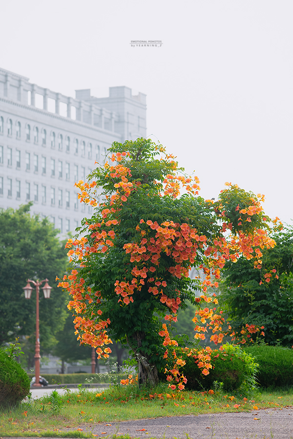 26K_8622-1.jpg