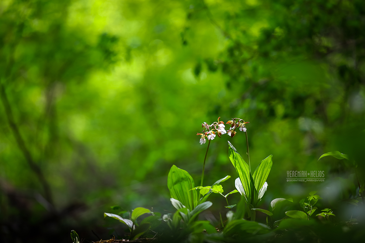 beantree250511_1202(YH)1200.jpg