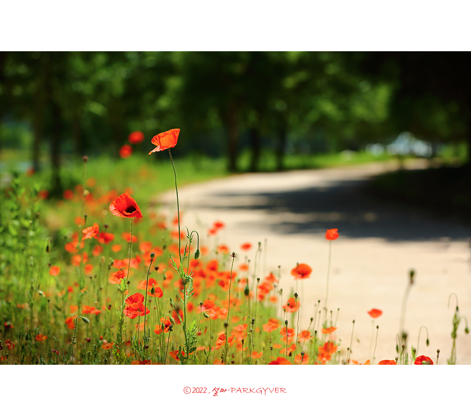 beantree220601_6334(fj).jpg