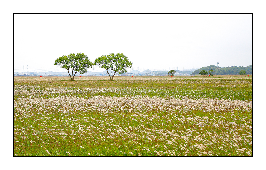 _63A3329-02 - 복사본-11.jpg