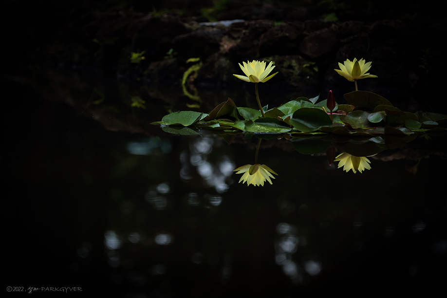 beantree220716_7020(fj).jpg