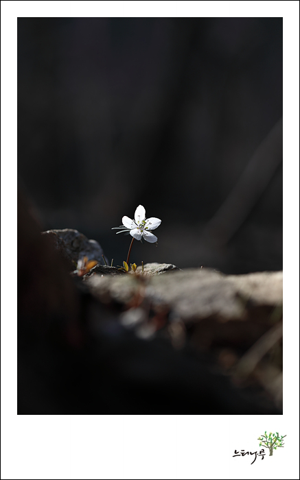 1D5A6497.jpg