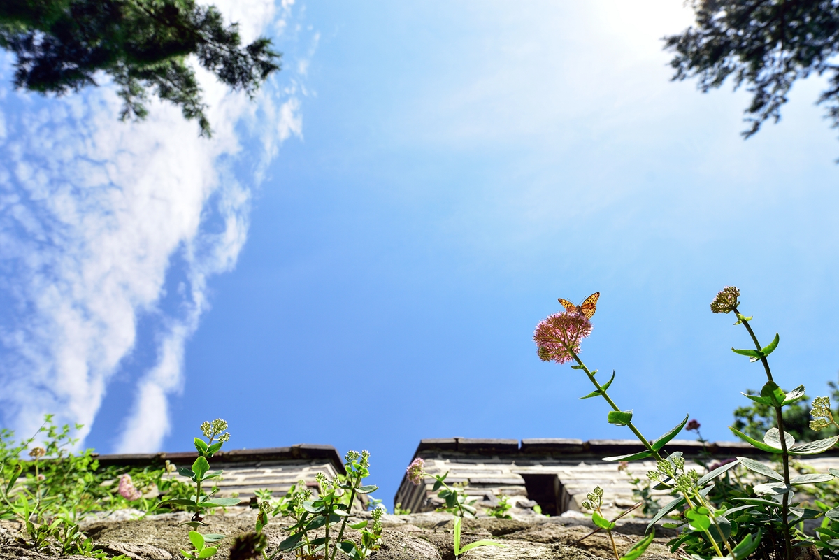 cts_8356_00002.jpg
