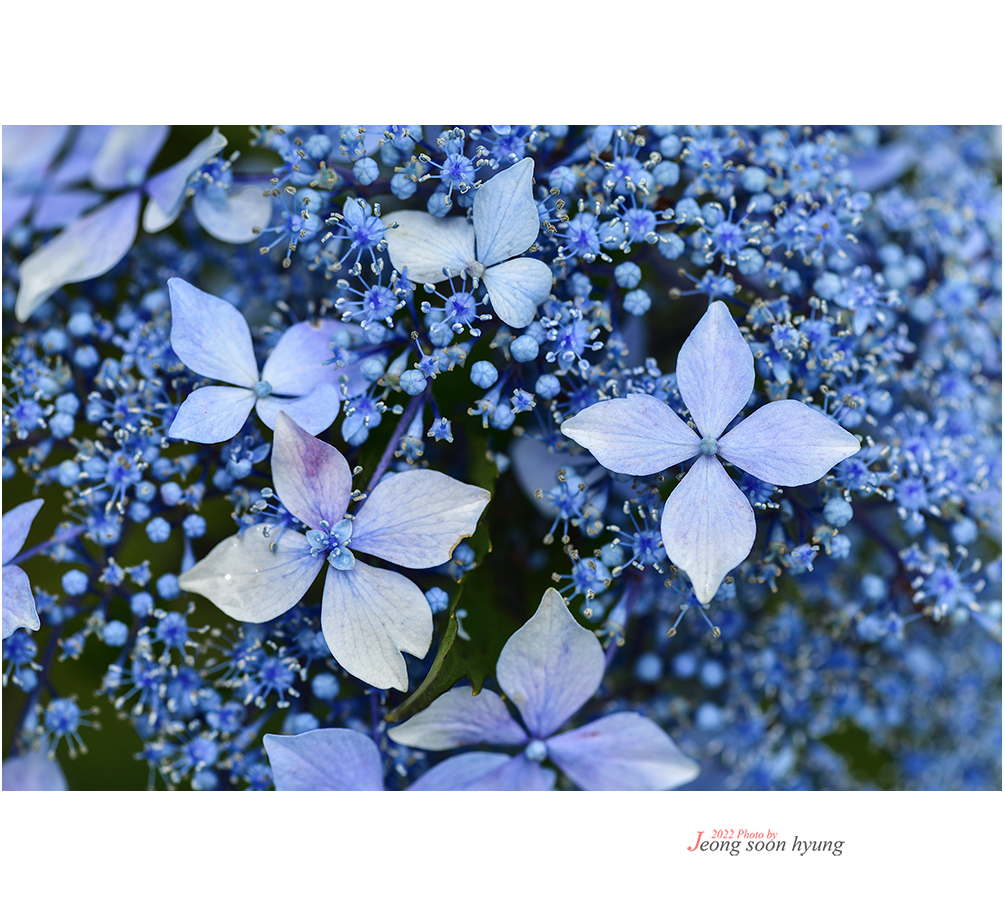 DSC_6178r.jpg