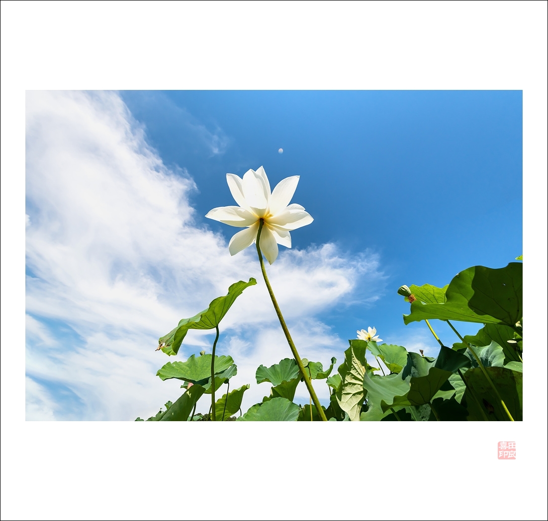 _JYH3128.jpg