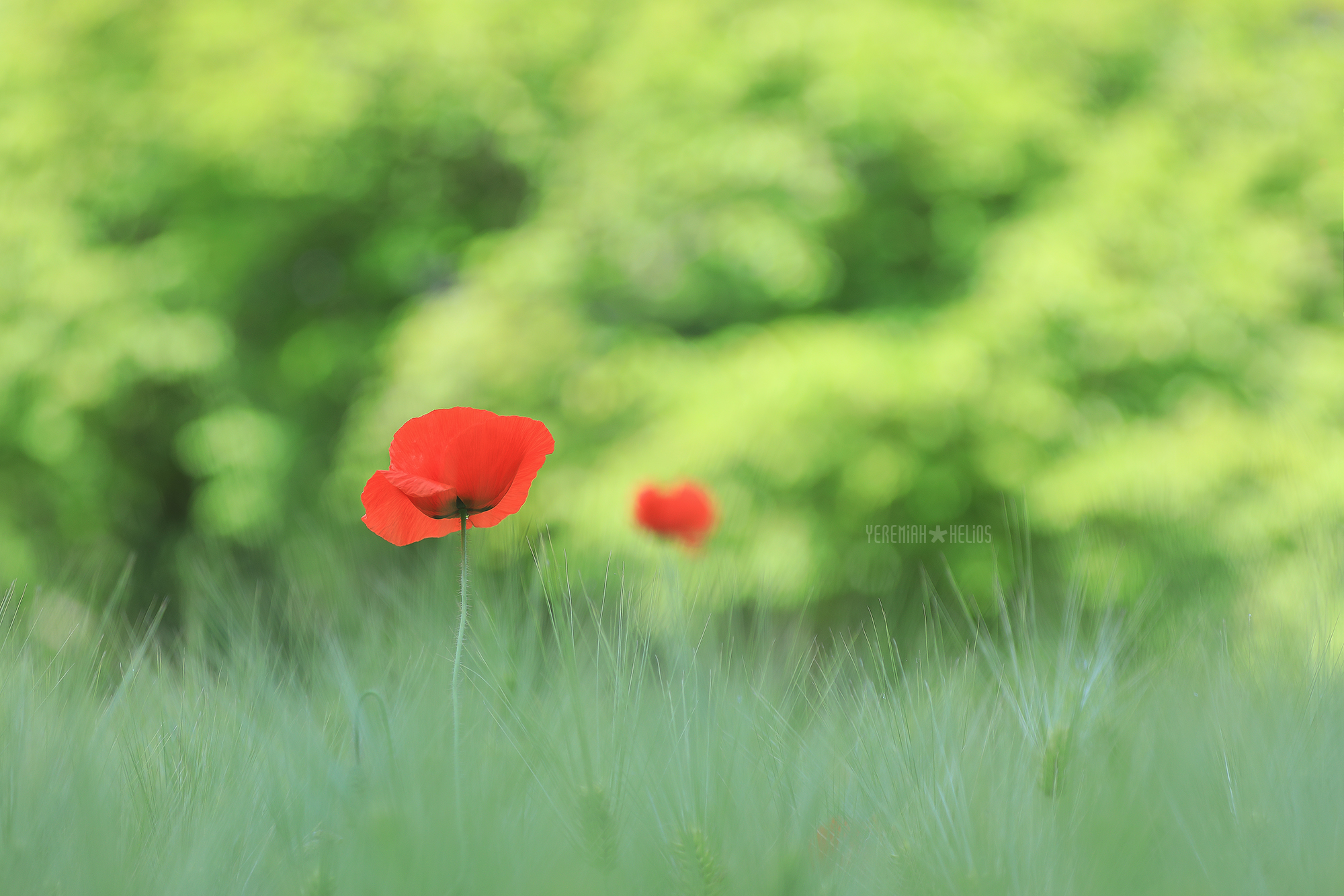 beantree260516_2080(YH)2000.jpg