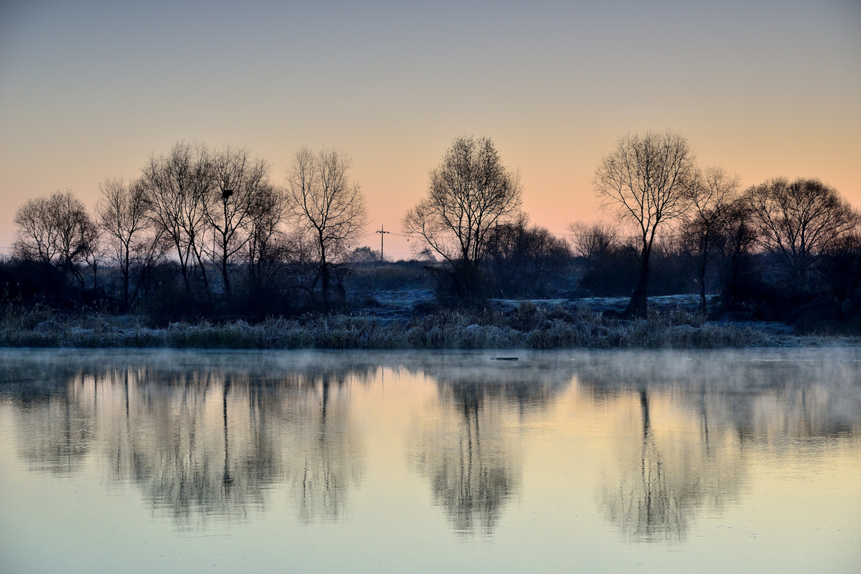 dsc_3772.jpg