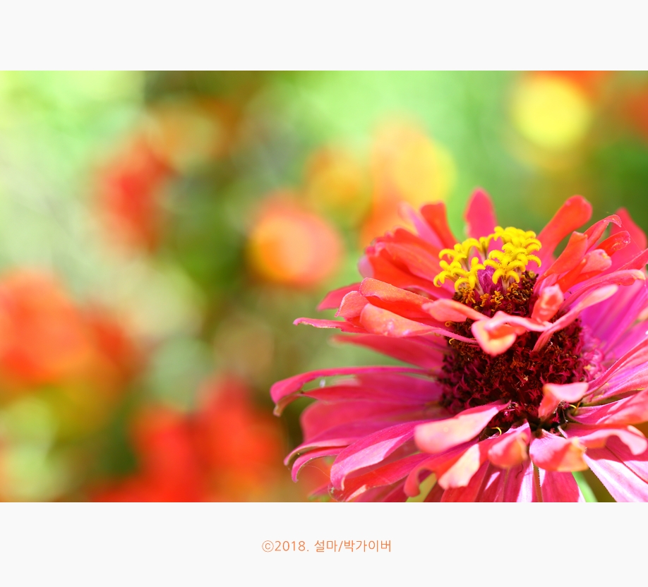 beantree_20180901_9545_fj_.jpg